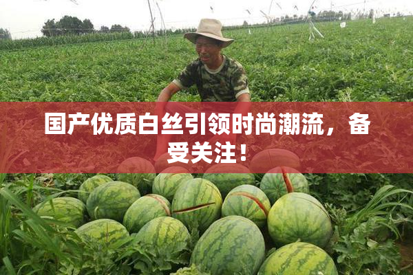 国产优质白丝引领时尚潮流，备受关注！