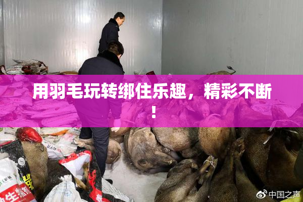 用羽毛玩转绑住乐趣，精彩不断！