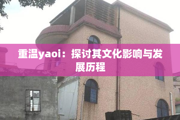 重温yaoi：探讨其文化影响与发展历程