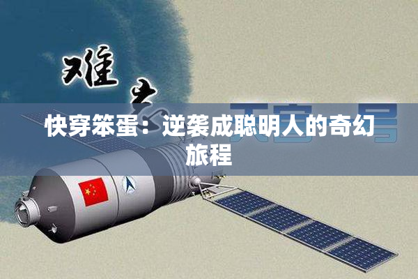 快穿笨蛋：逆袭成聪明人的奇幻旅程