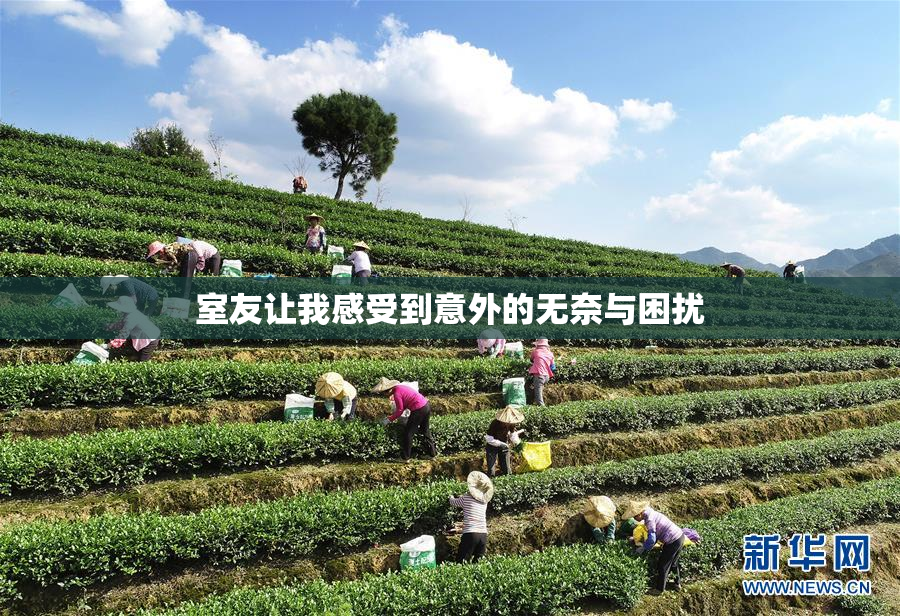 室友让我感受到意外的无奈与困扰