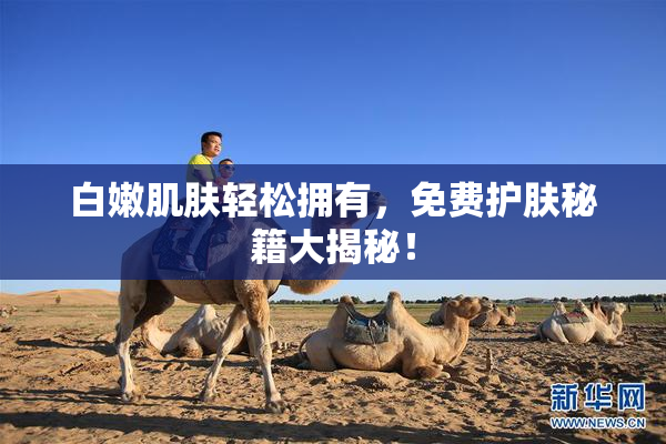白嫩肌肤轻松拥有，免费护肤秘籍大揭秘！