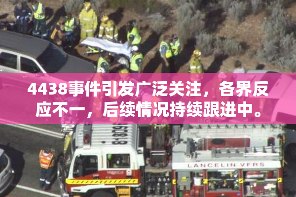 4438事件引发广泛关注，各界反应不一，后续情况持续跟进中。