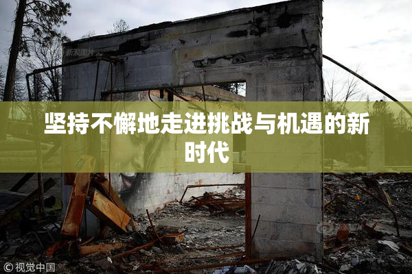 坚持不懈地走进挑战与机遇的新时代