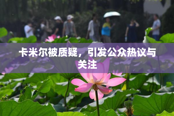 卡米尔被质疑，引发公众热议与关注
