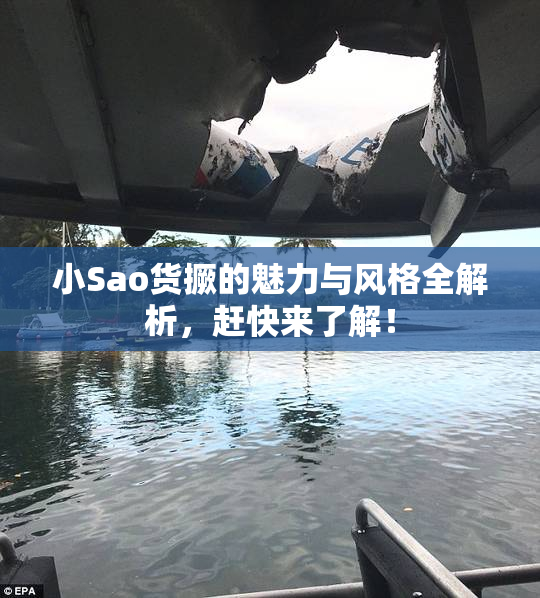 小Sao货撅的魅力与风格全解析，赶快来了解！