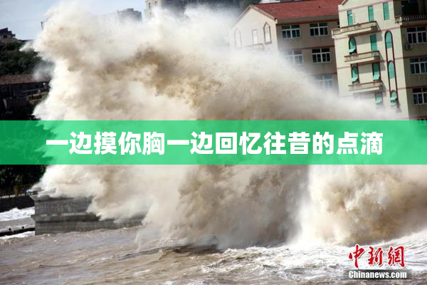 一边摸你胸一边回忆往昔的点滴