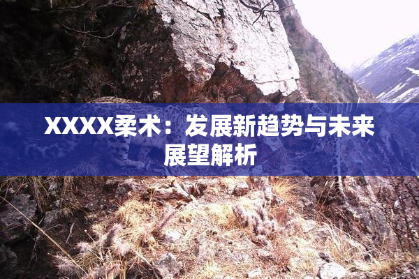 XXXX柔术：发展新趋势与未来展望解析