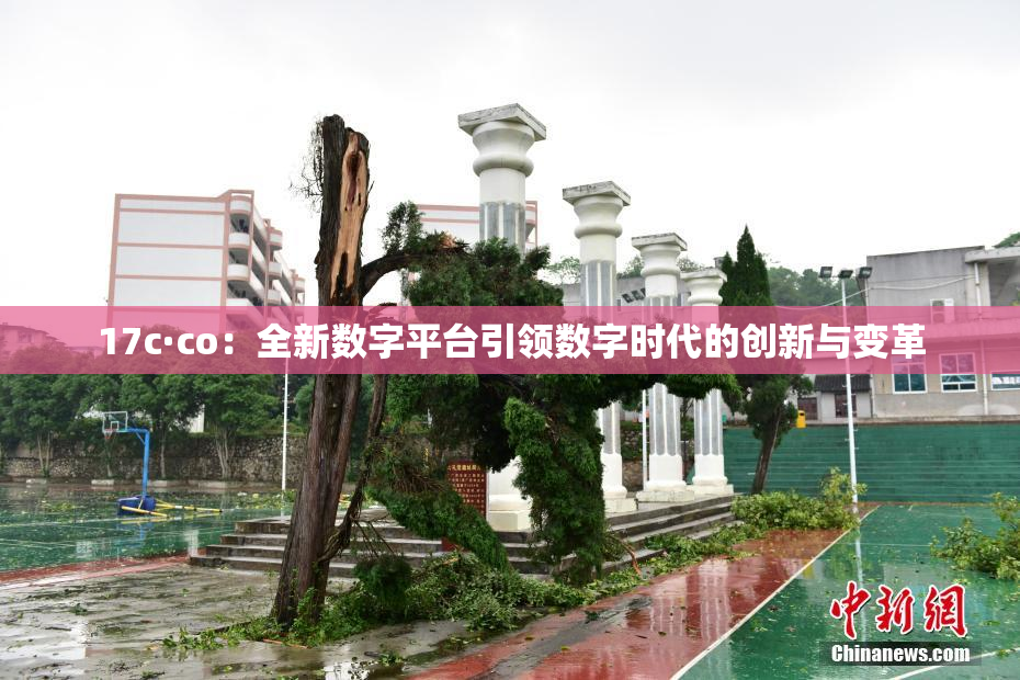 17c·co：全新数字平台引领数字时代的创新与变革
