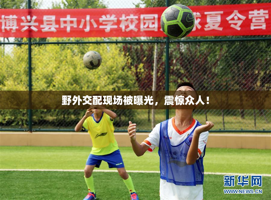 野外交配现场被曝光，震惊众人！