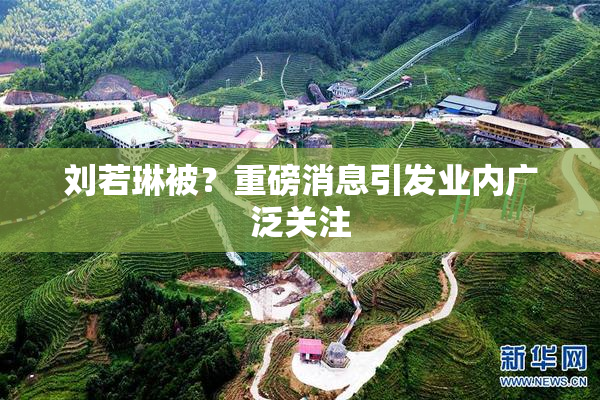 刘若琳被？重磅消息引发业内广泛关注