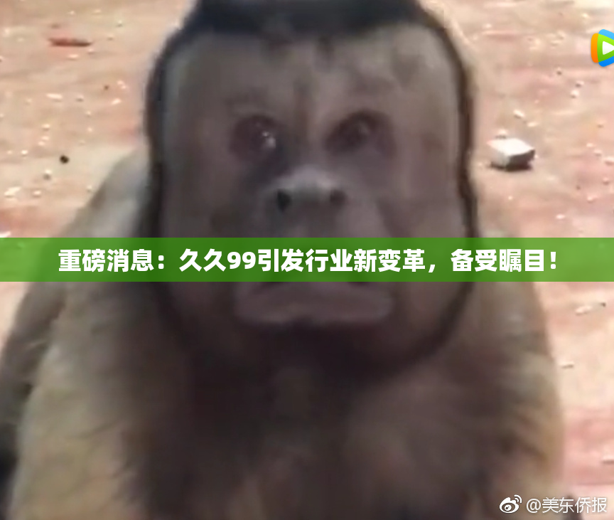 重磅消息：久久99引发行业新变革，备受瞩目！