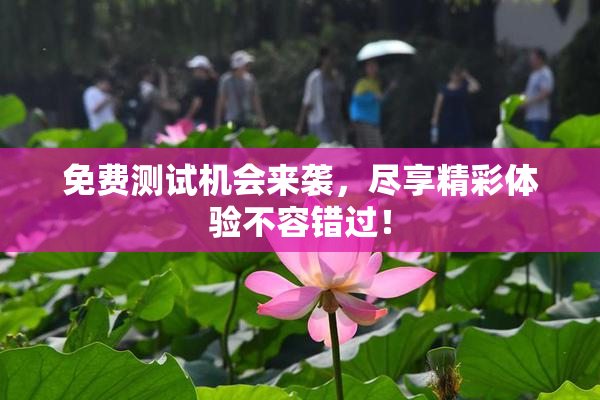 免费测试机会来袭，尽享精彩体验不容错过！