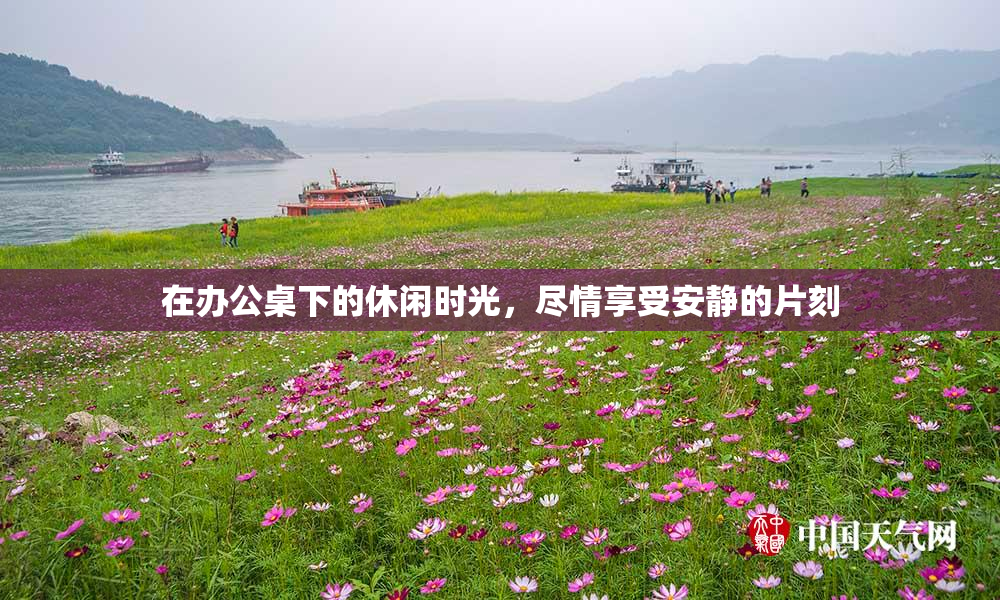 在办公桌下的休闲时光，尽情享受安静的片刻
