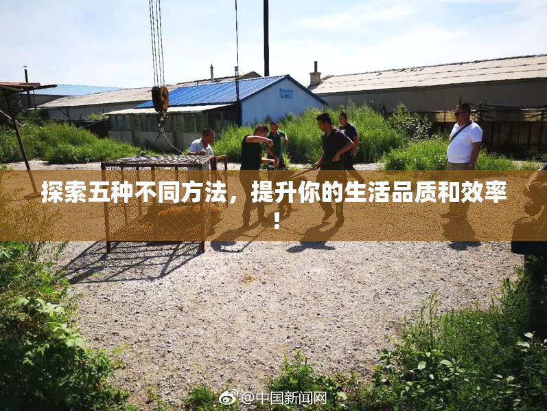 探索五种不同方法，提升你的生活品质和效率！