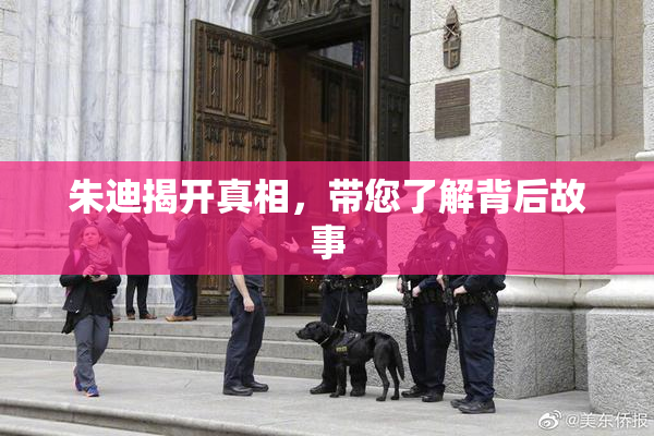 朱迪揭开真相，带您了解背后故事