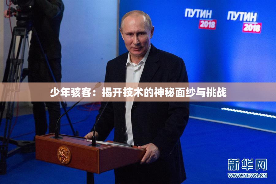 少年骇客：揭开技术的神秘面纱与挑战