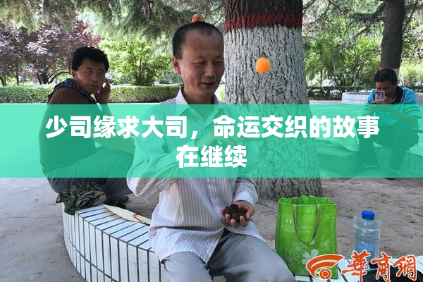 少司缘求大司，命运交织的故事在继续