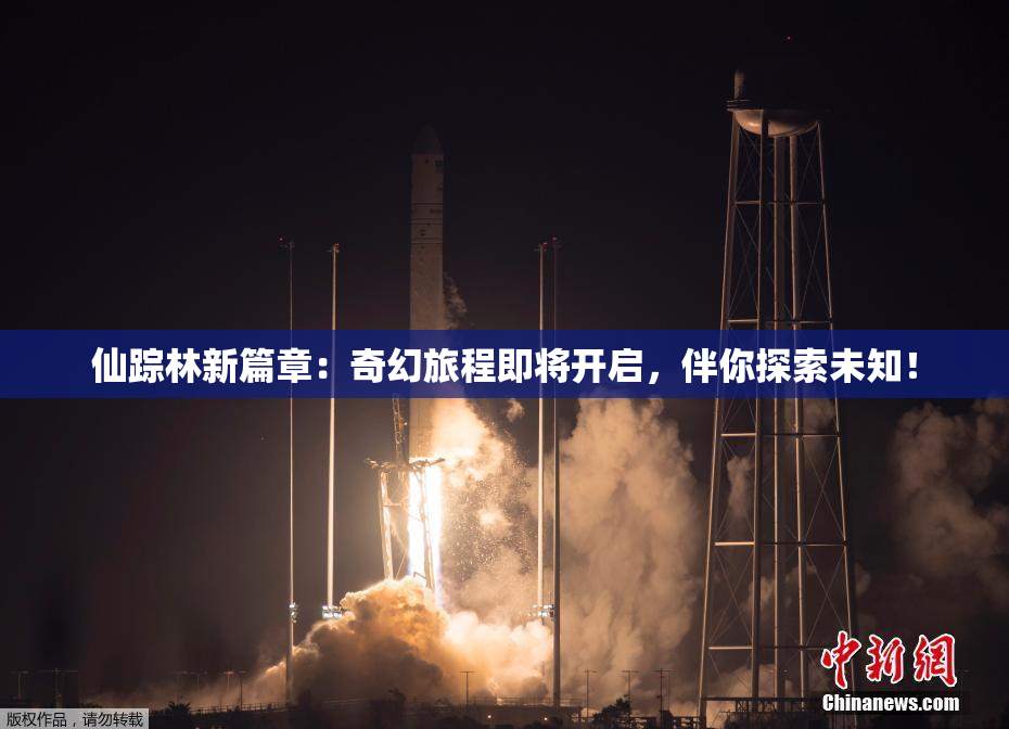 仙踪林新篇章：奇幻旅程即将开启，伴你探索未知！