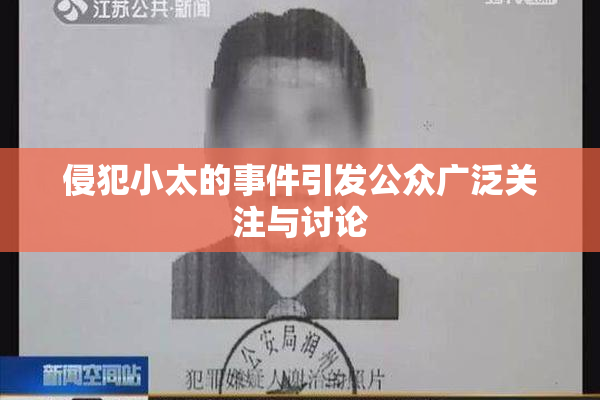 侵犯小太的事件引发公众广泛关注与讨论