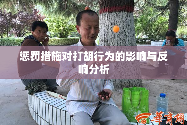 惩罚措施对打胡行为的影响与反响分析