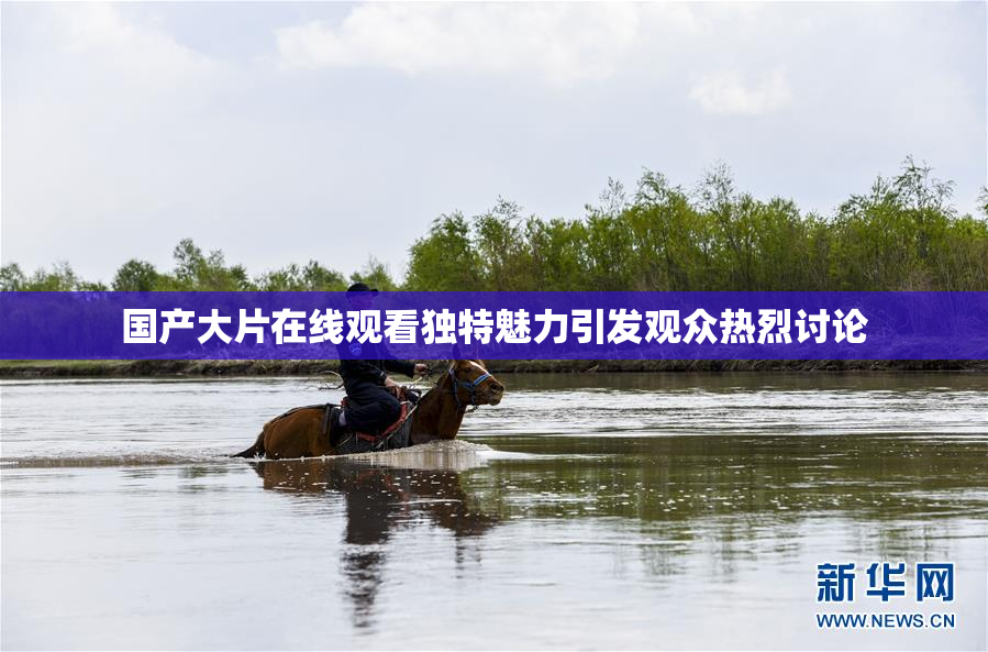国产大片在线观看独特魅力引发观众热烈讨论