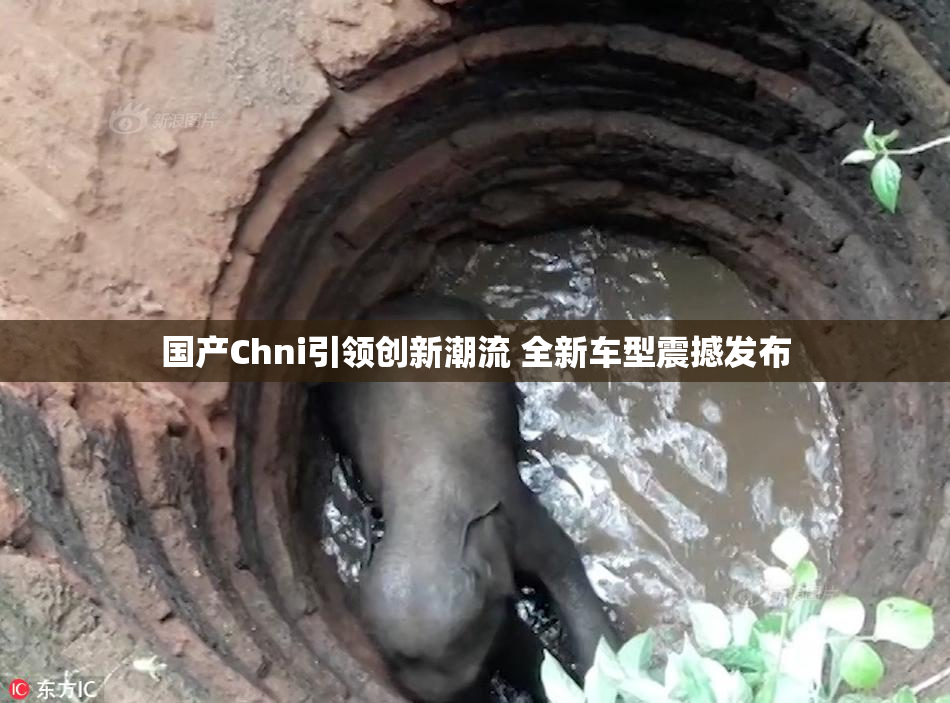 国产Chni引领创新潮流 全新车型震撼发布