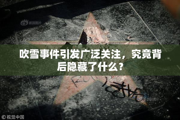 吹雪事件引发广泛关注，究竟背后隐藏了什么？