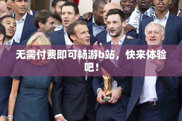 无需付费即可畅游b站，快来体验吧！