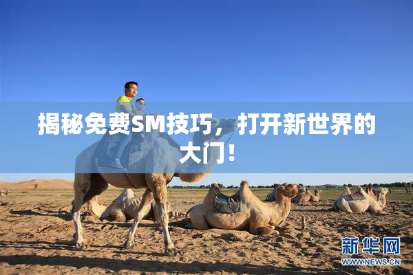 揭秘免费SM技巧，打开新世界的大门！