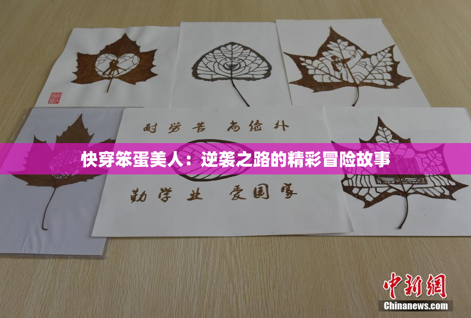 快穿笨蛋美人：逆袭之路的精彩冒险故事