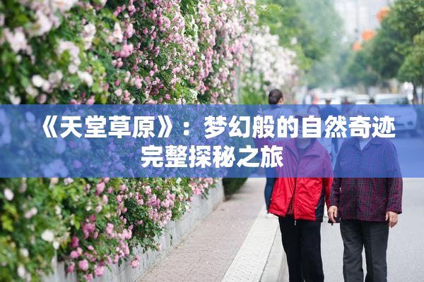 《天堂草原》：梦幻般的自然奇迹完整探秘之旅