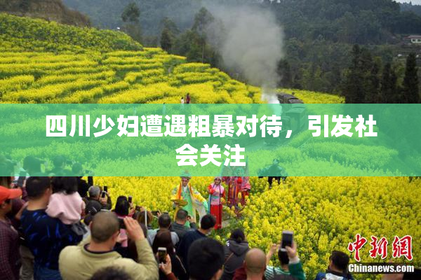 四川少妇遭遇粗暴对待，引发社会关注
