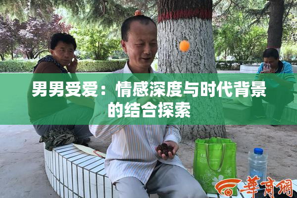 男男受爱：情感深度与时代背景的结合探索