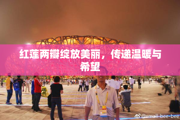 红莲两瓣绽放美丽，传递温暖与希望