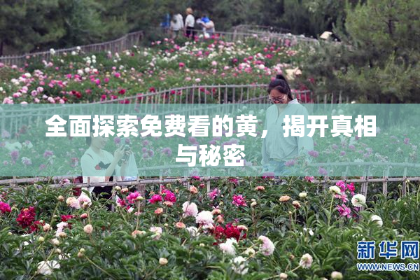 全面探索免费看的黄，揭开真相与秘密