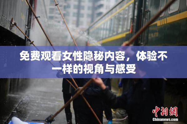 免费观看女性隐秘内容，体验不一样的视角与感受