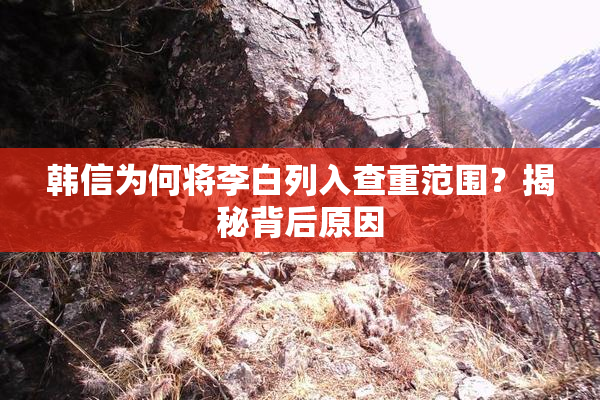 韩信为何将李白列入查重范围？揭秘背后原因