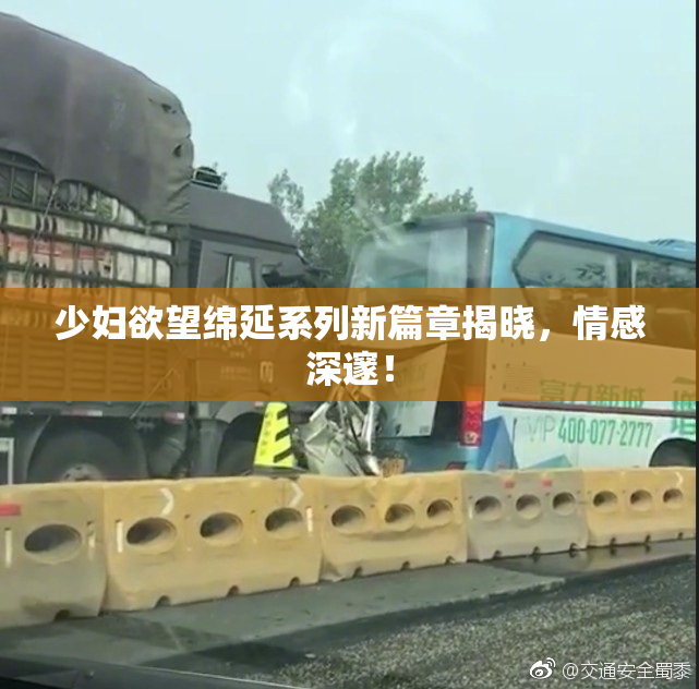 少妇欲望绵延系列新篇章揭晓，情感深邃！