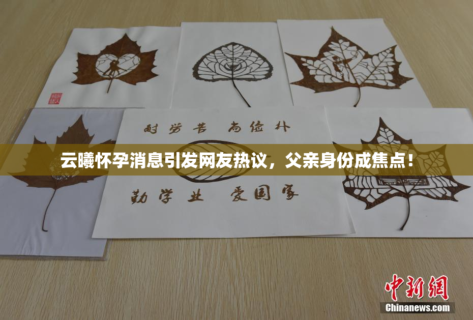 云曦怀孕消息引发网友热议，父亲身份成焦点！