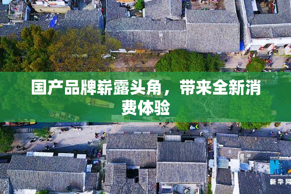 国产品牌崭露头角，带来全新消费体验