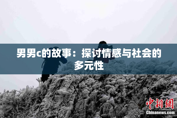 男男c的故事：探讨情感与社会的多元性