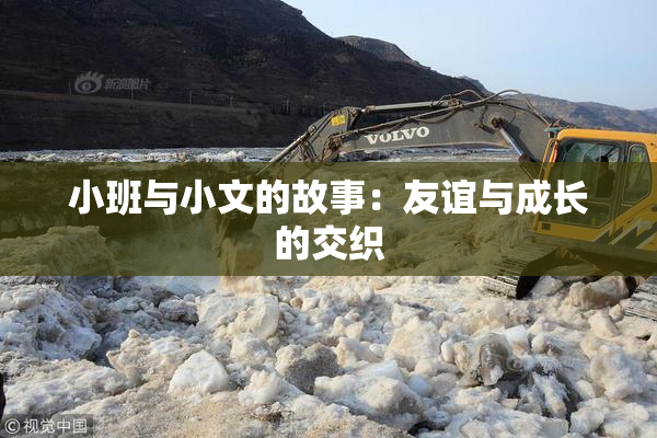 小班与小文的故事：友谊与成长的交织