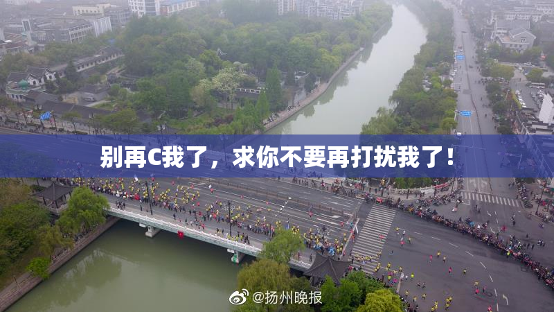 别再C我了，求你不要再打扰我了！