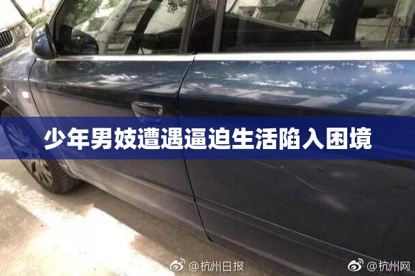 少年男妓遭遇逼迫生活陷入困境