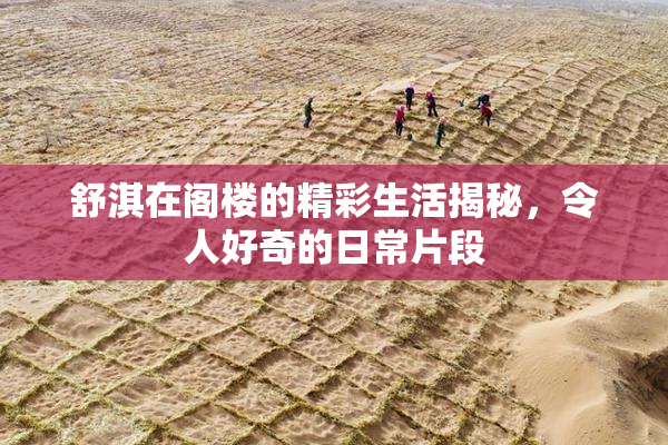 舒淇在阁楼的精彩生活揭秘，令人好奇的日常片段