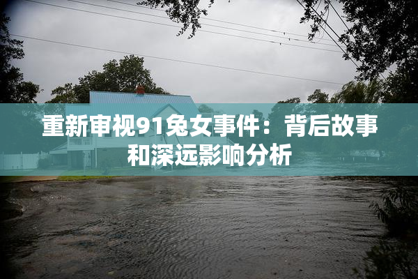 重新审视91兔女事件：背后故事和深远影响分析