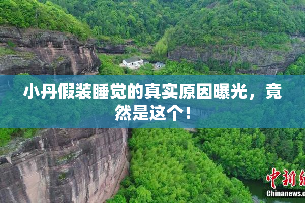 小丹假装睡觉的真实原因曝光，竟然是这个！