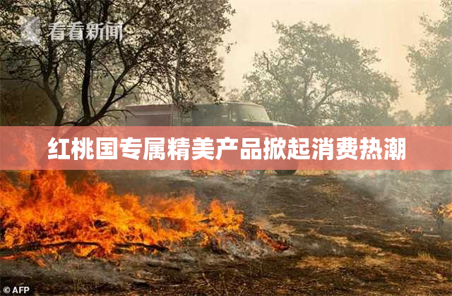 红桃国专属精美产品掀起消费热潮