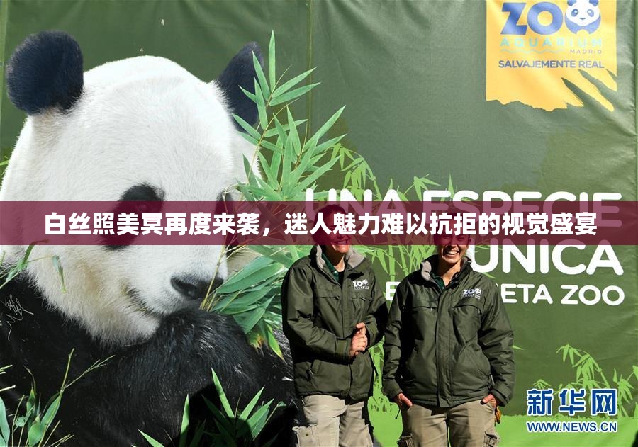 白丝照美冥再度来袭，迷人魅力难以抗拒的视觉盛宴